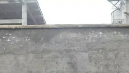 無法無天！紅獅水泥暴力阻撓取證