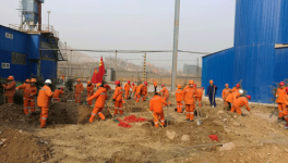 踐行國企責任 共建綠色家園 贊皇金隅組織開展植樹節活動