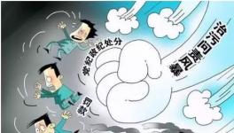 粉磨站、水泥企業都經歷了什么！