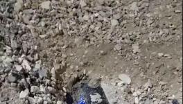 大貨車闖紅燈側翻!小車瞬間被埋!致3人死亡！