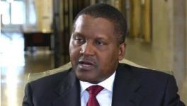 瘋狂！這個地區(qū)大搞建設(shè)！水泥賣到2000多元/噸！