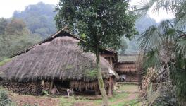 無化區(qū)來了！請不要妖魔化水泥廠