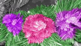 水泥的另外一種美！您見過嗎？