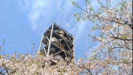 海螺水泥這么強大！答案在這里……