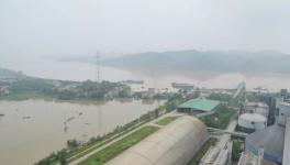 7人死亡9人失蹤！多省緊急發文！800多家水泥廠出貨量暴跌！