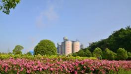 打造美麗礦區(qū)！叫響華新水平綠色品牌！