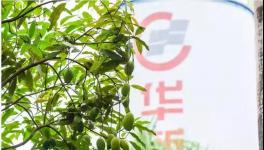 人與自然和諧相處！水泥廠迎來神秘訪客！