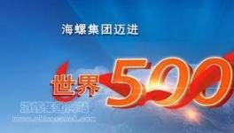 海螺集團邁進世界500強引起熱烈反響！