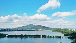 緊急通知！8月15日起推動部分水泥企業(yè)退出！9月起實施階段性停產(chǎn)！