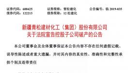 青松建化同意控股子公司申請破產并辦理注銷登記