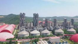 海螺集團以問題為導向實現新擔當新作為！