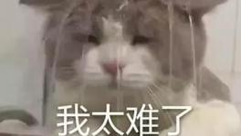 國慶節(jié)的催款心聲，讓數(shù)萬水泥人不再沉默！