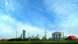 海螺水泥首個SCR脫硝項目曝光！排放指標驚人！