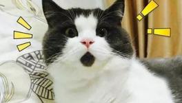 美！太美了！這些花園水泥廠您去過嗎！