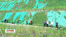 點贊！這一地區(qū)礦山生態(tài)環(huán)境恢復治理近200公頃！