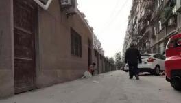 路面倆月沒凝固，新鋪水泥路變“豆腐渣路”！