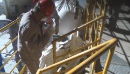 這家水泥企業用秸稈替代煤炭，一年節約2.07萬噸原煤