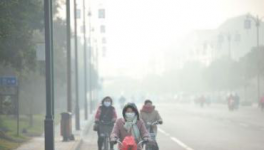 水泥停產(chǎn)！工地放假！物流停運(yùn)！“春運(yùn)”提前來了！