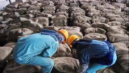 大事！砌筑32.5、P.P、P.F、P.S.A 32.5水泥全部取消！這個省動真格！