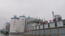 強手如林中拔得頭籌！這家水泥企業年利潤超3億元！