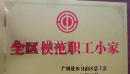 興業海螺質量控制處工會小組榮獲“2019年全區模范職工小家”榮譽稱號