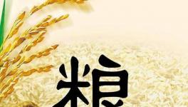 全球糧食市場異動，每個人都要提前應對了！