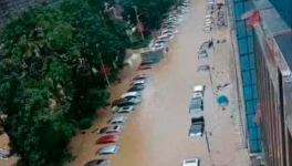 立即撤離！15個省市緊急預警！水泥價格集體下跌！