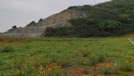 這家水泥企業喜獲2800萬噸石灰巖礦采礦權！