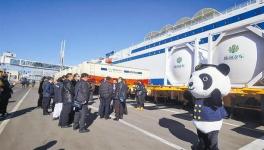 強強聯合共建海上建材運輸高速通道