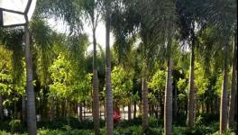 最干凈的百人智能工廠無人值守物流系統曝光!