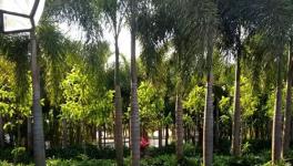 最干凈的百人智能工廠無人值守物流系統曝光!