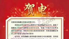 又是海螺水泥！創(chuàng)造世界水泥行業(yè)奇跡！