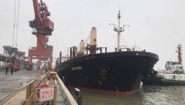 又有一船進口熟料共42600余噸卸載完成！