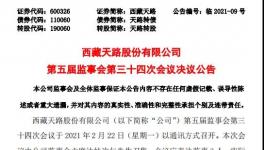 西藏天路股份有限公司高管人員任職大變動！