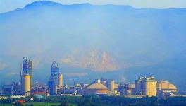 驚喜！這家水泥企業(yè)1月份水泥銷量增長(zhǎng)53%！