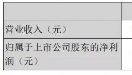 天山股份年報：2020年實現凈利潤15.16億元！