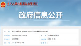 生態環境部出臺意見嚴格審查“兩高”項目！