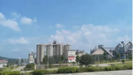 水泥行業(yè)的“華為”，一年凈賺300億！