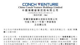 父與子？海螺創業賣廠和海螺水泥關聯