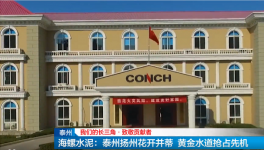 海螺這兩家公司產能，水泥粉磨領先！