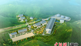 水泥行業“特種兵”，六大系列28個品種！