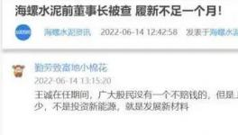 海螺蒸發(fā)1300億，逾700億元投資或存變數(shù)！