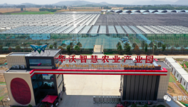 巧用水泥余熱，工業(yè)轉型反哺農業(yè)！