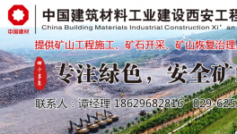 違規(guī)上馬“兩高”項目，相關責任人被處理?！