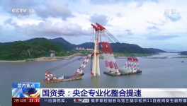 央視新聞報道：中國建材專業(yè)化整合成效經驗交流！