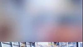 殺公雞！開窯！水泥廠“辟邪”！