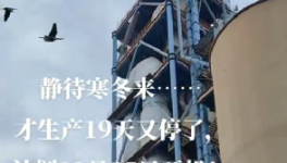 全停！最長200天！20個(gè)省水泥廠停產(chǎn)！