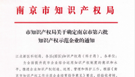 喜報(bào)！南京永能新材料有限公司獲選南京市知識(shí)產(chǎn)權(quán)示范企業(yè)！