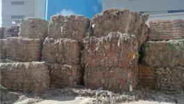 創收40萬/天！替代燃料降本火了！